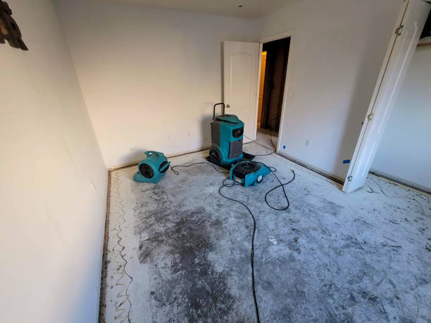 Best 24-hour water damage restoration  in La Plata, MD