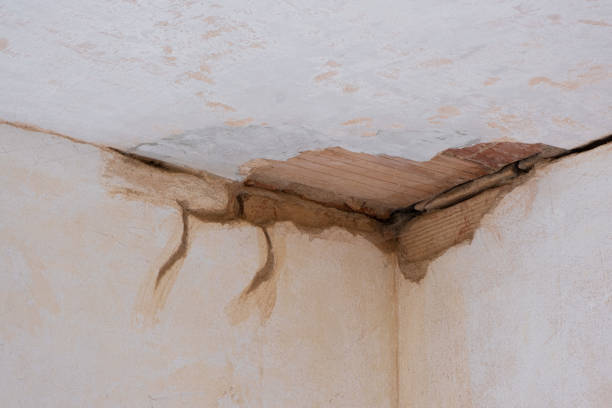 Best Local water damage restoration  in La Plata, MD