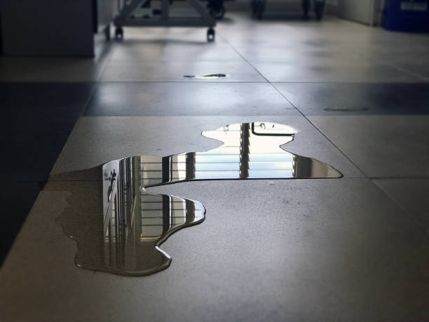 Best Water damage restoration services  in La Plata, MD