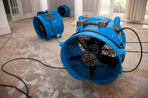 Best Water damage contractors near me  in La Plata, MD