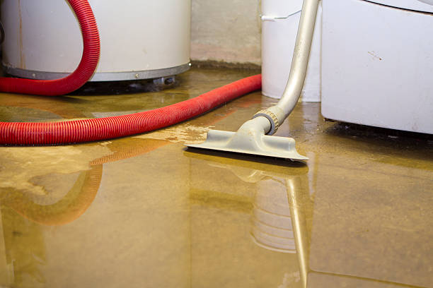 Best Water damage restoration specialists  in La Plata, MD
