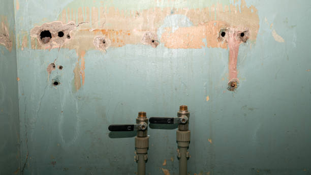 Best Water damage cleanup near me  in La Plata, MD