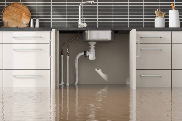 Best Flooded house restoration  in La Plata, MD
