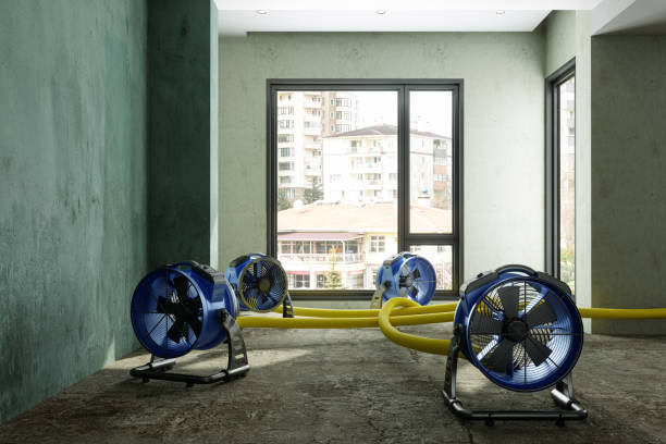 Best Carpet water damage restoration  in La Plata, MD